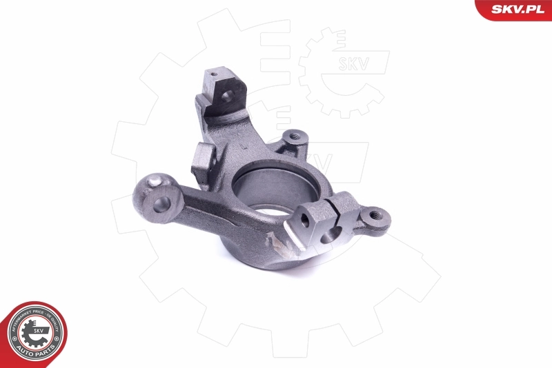 Steering Knuckle, wheel suspension